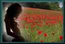 image du dccn
